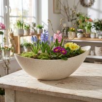 Itens Vaso de plástico para plantas, bege, 28×9×9cm