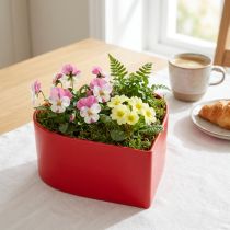 Itens Planta romântica coração planta tigela coração vermelho 15 × 15 × 7 cm 3 unidades