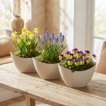 Itens Tigela decorativa para barco de plantas plástico bege 20×9cm Alt.12cm 3 unidades
