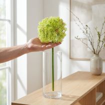 Itens Cebola ornamental artificial flor verde Allium Ø18cm 90cm
