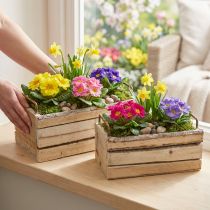 Itens Jardineira de madeira com casca natural e alça, 29 cm x 23 cm, conjunto de 2 unidades.