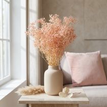 Itens Decoração Gypsophila Laranja Ervas Secas Pêssego 65-70cm 100g