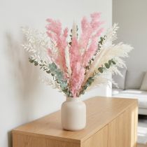 Itens Aspargo-rosa em forma de pena (Asparagus) seco para decoração, 55-70cm