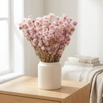 Itens Buquê de Flores Secas Decoração Seca Camomila Rosa 65cm 50g