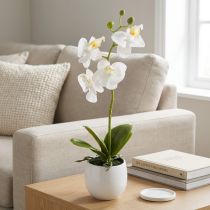 Itens Flores artificiais de orquídea branca em vaso Phalaenopsis H33cm