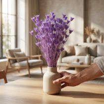Itens Buquê de flores de Nigella secas, para uso decorativo na sala de estar, cria um ambiente único, 70cm, 50g