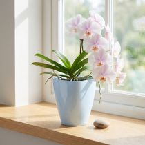 Itens Vaso de orquídea brilhante Ø12,5cm branco 1ud
