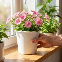 Itens Vaso plástico “Irys” branco Ø19cm A16cm 1 un