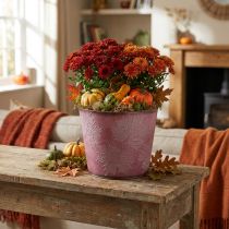 Itens Pote de outono, balde de plantas, decoração em metal com folhas vinho tinto Ø25,5cm A22cm