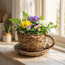 Itens Vaso para plantas com pires, pequeno cesto de palha para plantio, Ø17cm A13cm