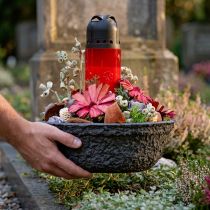 Itens Tigela para plantas Oasis Black Biolit Tigela para flores preta Ø26cm