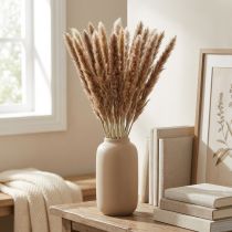 Itens Gramíneas secas Capim-dos-pampas, maço natural 80cm 100g
