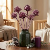 Itens Leucospermum 1 amora fosca 25 unidades
