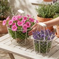 Itens Cestos decorativos de arame como solução criativa para o design do jardim, 30 cm, 1 conjunto.