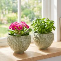 Itens Vaso decorativo cerâmico verde Ø15cm H11cm 2 unidades