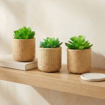 Itens Suculentas Artificiais em Vaso Plantas Artificiais Sortidas 10cm 3pcs