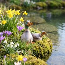 Itens Patos decorativos em cerâmica primavera drake marrom verde C15cm 2 un