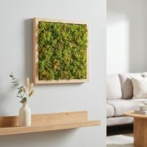 Itens Tapete de musgo artificial – perfeito para imagem de musgo verde claro 25×25cm