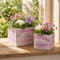Itens Gaveta para plantas com puxador madeira branca rosa 12/15cm conjunto de 2