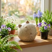 Itens Estatueta decorativa de gato em cerâmica, formato redondo, ideal para sala de estar ou quarto, 13 cm