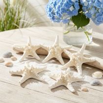 Itens Estrela do mar decorativa grande estrela do mar branca seca 19-26 cm 5 un