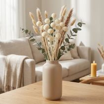 Itens Craspedia creme de coxinhas secas 45-55cm 20 un