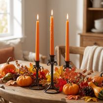 Itens Velas cônicas, velas em bastão, velas Wenzel, laranja, 250/23 mm, 12 peças