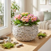 Itens Cesto redondo para plantas, branco lavado, Ø22cm A13cm, vaso de flores decorativo