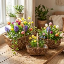 Itens Cesta de alça retangular natureza 34×26/29×20/24×15cm conjunto de 3