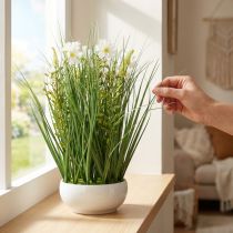 Itens Grama decorativa com flores Cosmea em uma tigela Alt.45cm