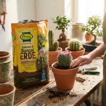 Itens FRUX Solo para Cactos e Bonsai 5L