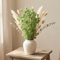 Itens Flores secas cominho preto nigela verde 50cm 100g