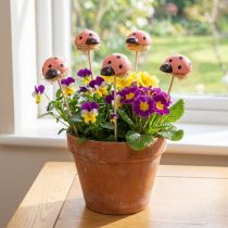 Itens Flor decorativa joaninha plugs madeira colorida 3,5 cm 24 un