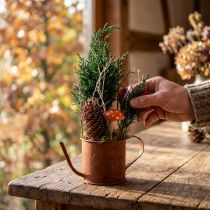 Itens Regador decorativo enferrujado, mini vaso de plantas, metal, Ø10cm, A9cm