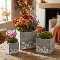 Itens Cubos de madeira com cogumelos, decoração de outono, caixa para plantas 20/16/12 cm, conjunto de 3