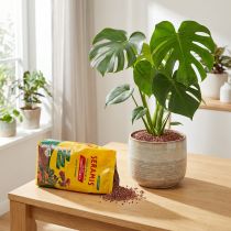 Itens Grânulos de plantas Seramis para plantas de casa 2,5l