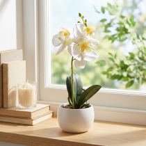 Itens Orquídeas artificiais em vaso mini orquídeas brancas Ø7cm H22cm