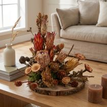 Itens Cones secos de Protea exótica Bellgum 24–48cm 580g - Decoração floral artificial África do Sul