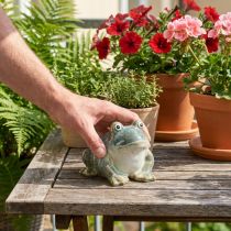 Itens Estatueta de sapo, decoração de verão em cerâmica para casa e varanda, 12 cm