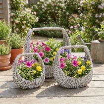 Itens Cesto de vime com alça, cinza lavado, A43/34/27cm, conjunto de 3