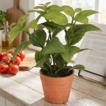 Itens Manjericão artificial em vaso Vaso de ervas Planta artificial 22cm 2 unidades