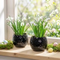 Itens Vaso de cerâmica em formato de ovo, preto, Ø10cm, A8cm, 2 peças