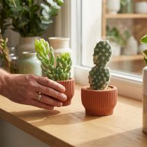 Itens Plantas Artificiais Cacto Suculento Planta Verde Artificial 14,5/15,5cm 2pcs