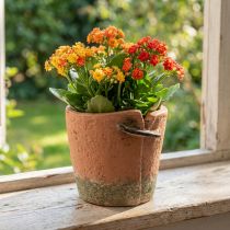 Itens Vaso de flores de concreto vaso de terracota Ø13cm A13cm