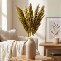 Itens Grama seca, verde-oliva, decorativa, 70 cm, 10 unidades, substituta da erva-dos-pampas.