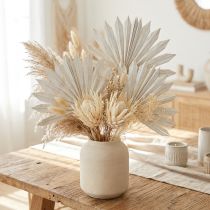 Itens Palmspear Sun mini caiado 50 unidades