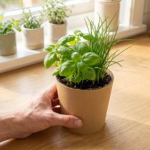 Itens Vasos de plantas, vasos para flores, vasos para plantas, naturais, Ø11cm A10cm, 6 peças