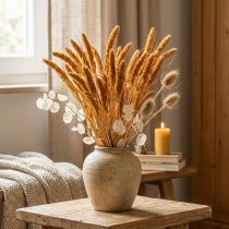Itens Flores secas de Setaria Pumila Laranja, grãos decorativos de painço, 72cm, 200g