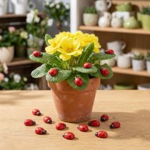 Itens Joaninhas decorativas para colar 1cm vermelhas 360 un