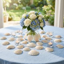 Itens Vieiras para decoração de conchas em natural 3,5cm–4cm 300g